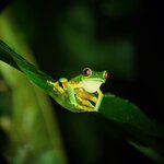 Photo taken by Darlene N