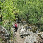 Photo taken by Taylor B