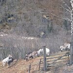 Photo taken by Kim R