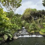 Photo taken by Cindy R