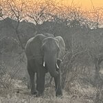 Photo taken by Janie W