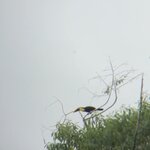 Photo taken by Kate R