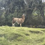 Photo taken by Vicki Lynn M