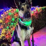 Photo taken by Debbie W