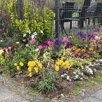 Photo taken by Cara W