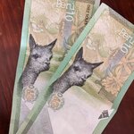 Photo taken by Susan B