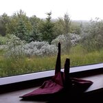 Photo taken by Denise H