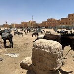 Photo taken by Tom B