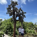 Photo taken by Jason C