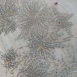 Photo taken by Shaula L