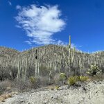 Photo taken by Pacita D