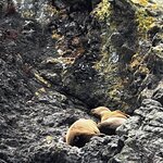 Photo taken by Elena L