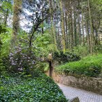 Photo taken by Bobbie X