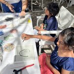 Photo taken by Aktta P