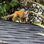 Photo taken by Morton A