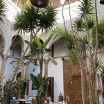 Photo taken by Gaia B