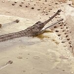 Photo taken by don m