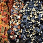 Photo taken by Michael E