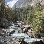 Photo taken by Willow K