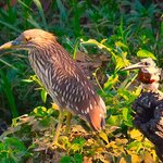 Photo taken by Dennis H