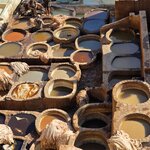 Photo taken by Mike K