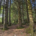 Photo taken by Sarina H