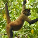 Photo taken by Alex V