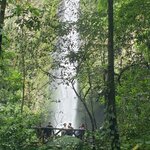 Photo taken by Mark S