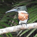 Photo taken by Alex V