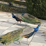 Photo taken by Linda S