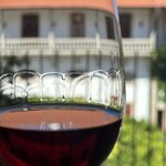 Photo taken by Sandy S