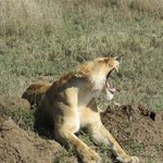 Photo taken by Kristin M