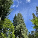 Photo taken by Marcos M