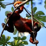 Photo taken by Nicole S