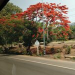 Photo taken by Janice D