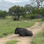 Photo taken by Michael Z