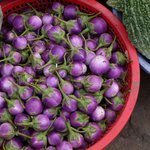 Photo taken by Peter J