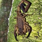 Photo taken by Cindy R