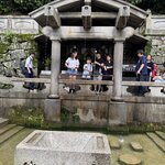 Photo taken by Andrea C