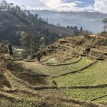 Photo taken by Terje R