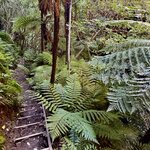 Photo taken by Haley L