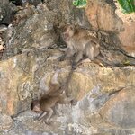 Photo taken by Megan H