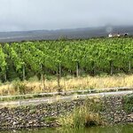 Photo taken by Mary E