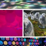 Photo taken by Joy W