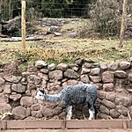 Photo taken by Brenna M