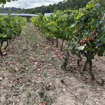 Photo taken by Deborah S