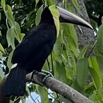 Photo taken by Charles H