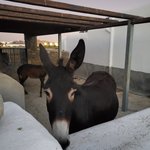 Photo taken by Patricia K