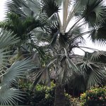 Photo taken by Juliette S