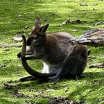 Photo taken by Rosemary S